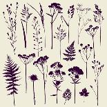 Set of Illustrations of Plants. Herbarium. Silhouettes. Sketch. Freehand Drawing.-xenia_ok-Framed Art Print