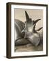 Xenoceratops Foremostensis Relaxing in a Mud Puddle-Stocktrek Images-Framed Art Print