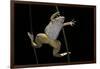 Xenopus Laevis (African Clawed Frog, Platanna)-Paul Starosta-Framed Photographic Print