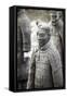 Xian, Shaanxi, China. Close Up of One of the Many Warriors of the Terracotta Army (Majong)-Matteo Colombo-Framed Stretched Canvas