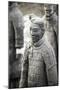 Xian, Shaanxi, China. Close Up of One of the Many Warriors of the Terracotta Army (Majong)-Matteo Colombo-Mounted Photographic Print