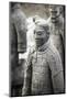 Xian, Shaanxi, China. Close Up of One of the Many Warriors of the Terracotta Army (Majong)-Matteo Colombo-Mounted Photographic Print