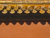 Tiles on Roof of Forbidden City-Xiaoyang Liu-Photographic Print
