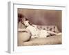 Xie Sleeping, 1874-Lewis Carroll-Framed Giclee Print