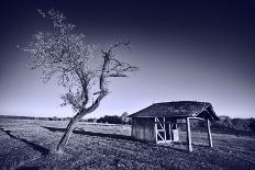 Monochrome Toned Image of Old Wooden Shelter-Xilius-Photographic Print