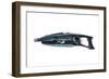 Xindi Reptilian Rifle, Prop Used in the Third Season of 'Star Trek: Enterprise', C.2003-null-Framed Giclee Print