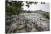 Xinwen Stone Sea Global Geo Park, Sichuan Province, China, Asia-Michael Snell-Stretched Canvas