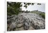 Xinwen Stone Sea Global Geo Park, Sichuan Province, China, Asia-Michael Snell-Framed Photographic Print