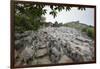 Xinwen Stone Sea Global Geo Park, Sichuan Province, China, Asia-Michael Snell-Framed Photographic Print