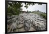 Xinwen Stone Sea Global Geo Park, Sichuan Province, China, Asia-Michael Snell-Framed Photographic Print