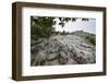 Xinwen Stone Sea Global Geo Park, Sichuan Province, China, Asia-Michael Snell-Framed Photographic Print