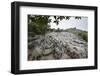 Xinwen Stone Sea Global Geo Park, Sichuan Province, China, Asia-Michael Snell-Framed Photographic Print