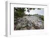 Xinwen Stone Sea Global Geo Park, Sichuan Province, China, Asia-Michael Snell-Framed Photographic Print