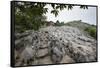 Xinwen Stone Sea Global Geo Park, Sichuan Province, China, Asia-Michael Snell-Framed Stretched Canvas