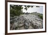 Xinwen Stone Sea Global Geo Park, Sichuan Province, China, Asia-Michael Snell-Framed Photographic Print