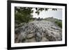 Xinwen Stone Sea Global Geo Park, Sichuan Province, China, Asia-Michael Snell-Framed Photographic Print