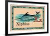 Xiphias-null-Framed Art Print