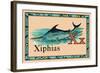 Xiphias-null-Framed Art Print