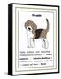 XL Beagle-Jennifer Zsolt-Framed Stretched Canvas