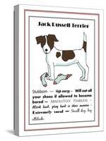XL Jack Russell-Jennifer Zsolt-Stretched Canvas