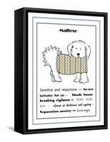 XL Maltese-Jennifer Zsolt-Framed Stretched Canvas