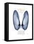 Xmas Angel Wings-Albert Koetsier-Framed Stretched Canvas