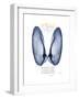 Xmas Angel Wings-Albert Koetsier-Framed Premium Giclee Print