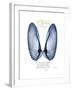 Xmas Angel Wings-Albert Koetsier-Framed Premium Giclee Print