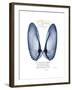 Xmas Angel Wings-Albert Koetsier-Framed Premium Giclee Print