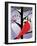 Xmas Cardinals-Marie Sansone-Framed Giclee Print