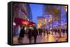 Xmas Decorations on Avenue Des Champs-Elysees with Arc De Triomphe in Background, Paris, France-Neil Farrin-Framed Stretched Canvas
