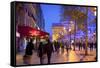 Xmas Decorations on Avenue Des Champs-Elysees with Arc De Triomphe in Background, Paris, France-Neil Farrin-Framed Stretched Canvas