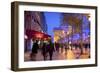 Xmas Decorations on Avenue Des Champs-Elysees with Arc De Triomphe in Background, Paris, France-Neil Farrin-Framed Photographic Print