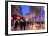 Xmas Decorations on Avenue Des Champs-Elysees with Arc De Triomphe in Background, Paris, France-Neil Farrin-Framed Photographic Print