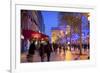 Xmas Decorations on Avenue Des Champs-Elysees with Arc De Triomphe in Background, Paris, France-Neil Farrin-Framed Photographic Print