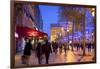 Xmas Decorations on Avenue Des Champs-Elysees with Arc De Triomphe in Background, Paris, France-Neil Farrin-Framed Photographic Print