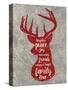 Xmas Deer-Erin Clark-Stretched Canvas