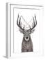 Xmas Deer-Balazs Solti-Framed Giclee Print