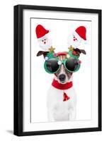 Xmas Dog-Javier Brosch-Framed Premium Photographic Print