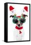 Xmas Dog-Javier Brosch-Framed Stretched Canvas