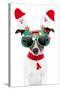 Xmas Dog-Javier Brosch-Stretched Canvas