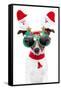 Xmas Dog-Javier Brosch-Framed Stretched Canvas