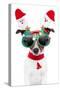 Xmas Dog-Javier Brosch-Stretched Canvas