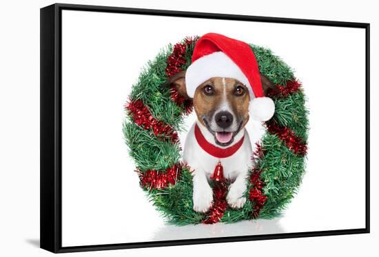 Xmas Dog-Javier Brosch-Framed Stretched Canvas