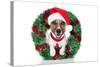 Xmas Dog-Javier Brosch-Stretched Canvas