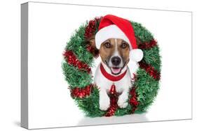 Xmas Dog-Javier Brosch-Stretched Canvas