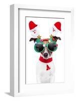 Xmas Dog-Javier Brosch-Framed Photographic Print