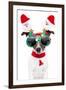 Xmas Dog-Javier Brosch-Framed Photographic Print