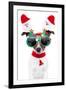 Xmas Dog-Javier Brosch-Framed Photographic Print