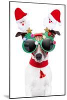 Xmas Dog-Javier Brosch-Mounted Photographic Print